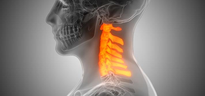 Cervical spine anatomy illustration
